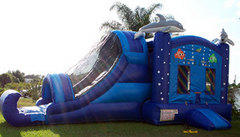 Dolphin Bounce Double Slide Combo Dolphin Bounce Double Slide Combo