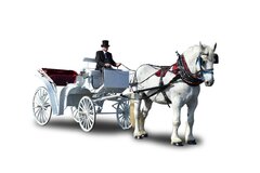 Horse and Carriage Horse and Carriage