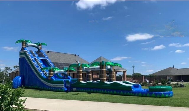 Tropical Oasis Tropical Oasis