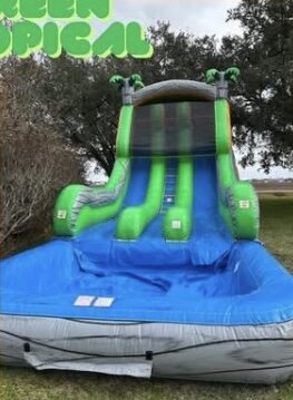 Green Tropical Green Tropical