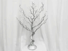 Vogue Manzanita Tree, 30