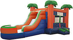 Paradise 4 in 1 Combo DRY Paradise 4 in 1 Combo DRY