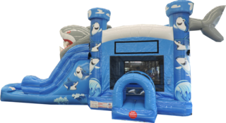 Combo Bounce 5 in 1 Blue Shark (Dry or wet)