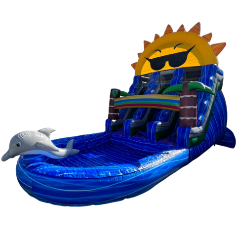 Tropical Dolphin Double Lane Water Slide