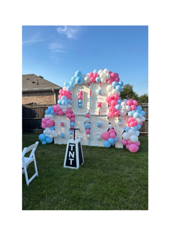 Gender Reveal Package 4 Gender Reveal Package 4