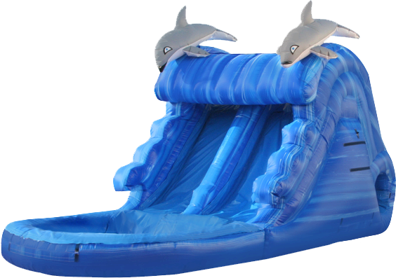 Swim-With-the-Dolphins-Water-Slide-529