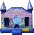 Disney Princess Castle