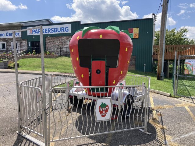 Spinning Berry Carnival Ride Spinning Berry Carnival Ride
