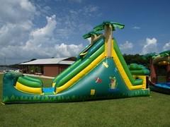 alligator alley slip and slide