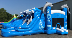 Dolphin World 4-in-1 Combination