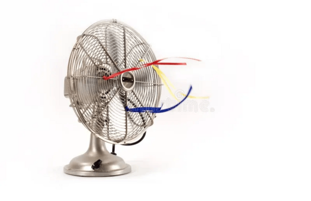 Fan Fan