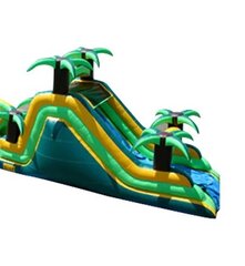 16' H Tropical Dual Slide, Back Entrance- Dry