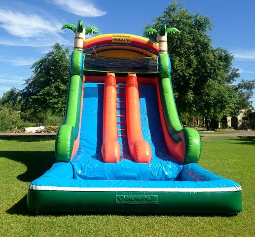 18 FT DOUBLE PALM WATER SLIDE