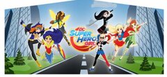 DC Super Hero Girls Bounce House Theme