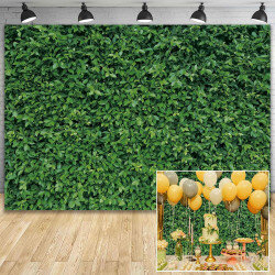 Grass Wall Grass Wall