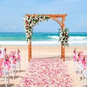 Wedding arch