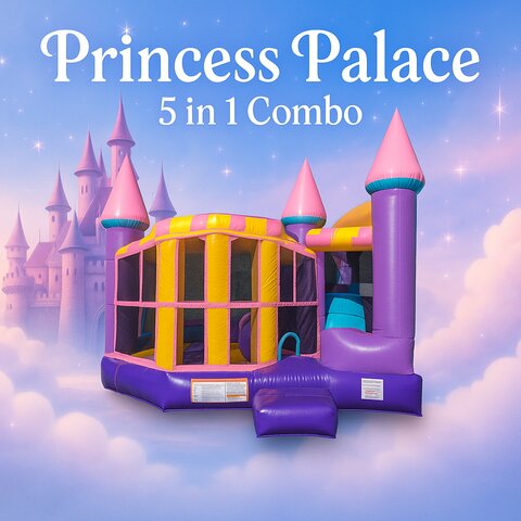 'New' Dazzling Princess Palace 5-in-1 Dry Combo 'New' Dazzling Princess Palace 5-in-1 Dry Combo
