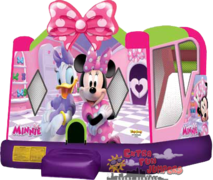 Large Minnie Mouse Combo 246