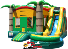 Jungle Combo Waterslide  with pool 237
