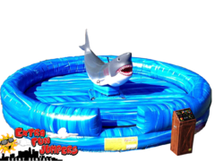 Mechanical Shark Ride  438 