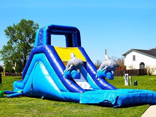 Dolphin Water Slide Dolphin Water Slide