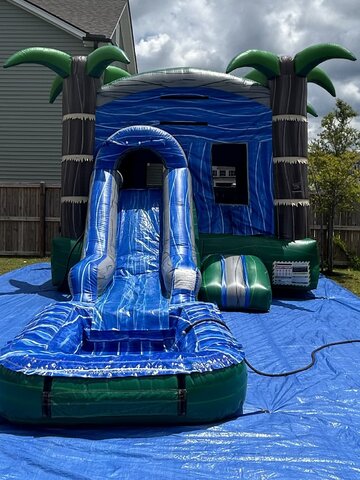Palm Combo w/pool or slide stopper wet/dry Palm Combo w/pool or slide stopper wet/dry
