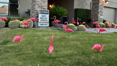 Choose a yard sign display Choose a yard sign display