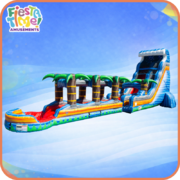 WET or DRY SLIDES WET or DRY SLIDES