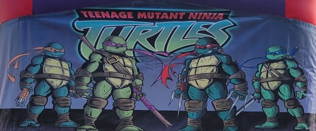 Teenage Mutant Ninja Theme