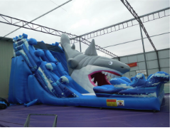 Giant Shark slide (Dry only)