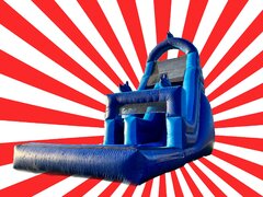 16 ft. Dolphin Water Slide