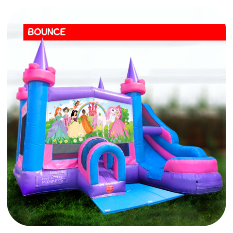 Princess Bounce House & Slide Combo