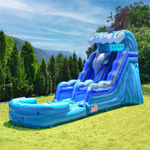 16ft Dolphin Single Lane Large Pool 16ft Dolphin Single Lane Large Pool