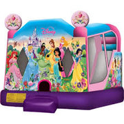 Disney Princess Combo w/ Slide *NEW* Disney Princess Combo w/ Slide *NEW*