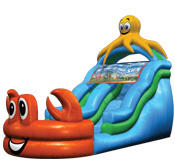 Under the Sea Under the Sea