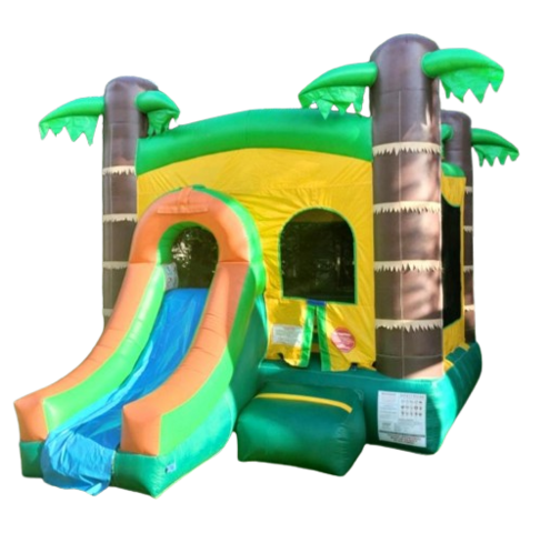 4-in-1 Tropical Slide 4-in-1 Tropical Slide
