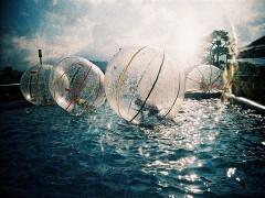 Water Walking Ballz Water Walking Ballz
