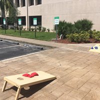 Corn Hole Corn Hole