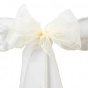 Organza Sash (Color?)(special Order) Organza Sash (Color?)(special Order)
