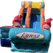 DRY Slides