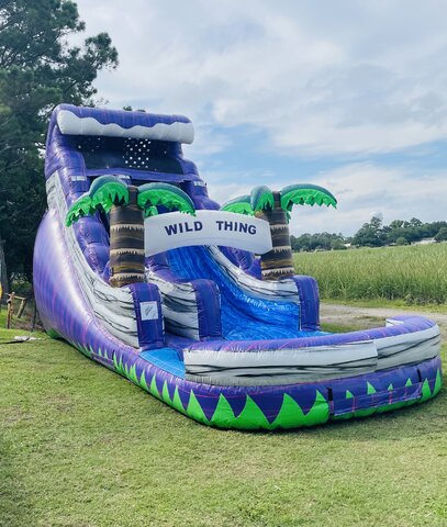 18 ft Wild Thing 18 ft Wild Thing