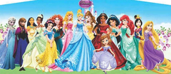 Disney Princess Disney Princess