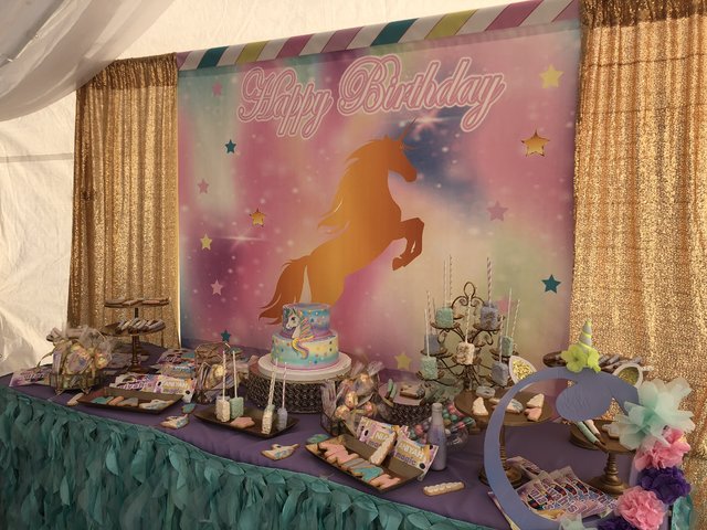 Unicorn  Dessert Table backdrop 