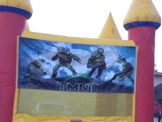 Ninja Turtle Banner