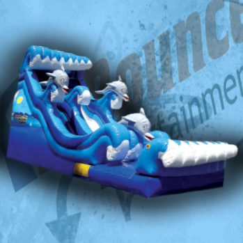Dolphin Bay Splash Dolphin Bay Splash