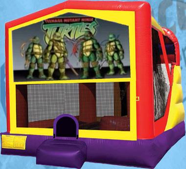 Ninja Turtle Combo Ninja Turtle Combo