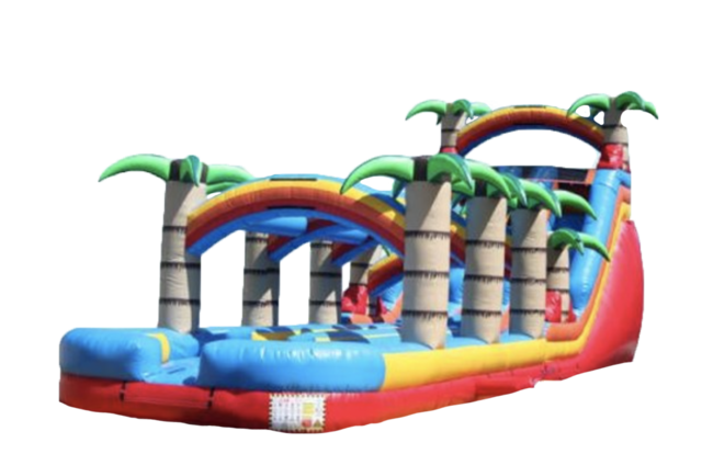 Blazin Dual Lane Super Slide Blazin Dual Lane Super Slide