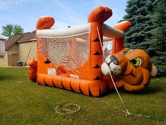 Tiger Belly Bouncer