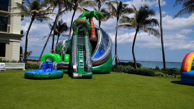 25ft Coconut Falls Water Slide 25ft Coconut Falls Water Slide