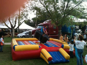Mechanical Bull Mechanical Bull